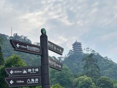 -缙云山景区