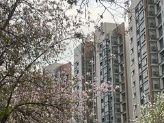 -小南山公园