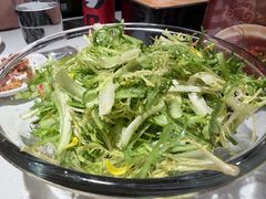 凉拌苦菊-煲煲好(朝阳门店)