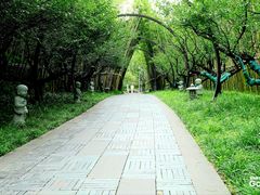 -牛首山文化旅游区