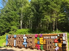 -汤旺河林海奇石景区
