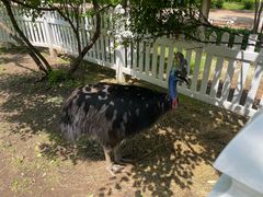 -哈尔滨北方森林动物园