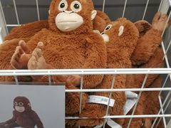 -宜家家居(四元桥商场店)