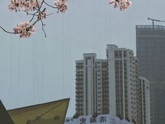 -龙美术馆(西岸馆)