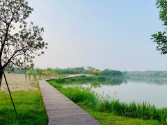 -东郊湿地公园