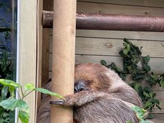 -广州长隆野生动物世界
