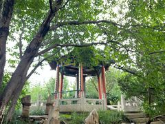 -桃花堤公园