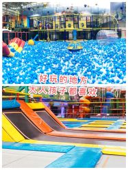 -爱丽丝奇幻乐园