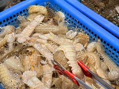-半岛听涛蒸汽海鲜自助(K11店)