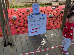 -前小桔亲子创意农场·草莓采摘·露营烧烤