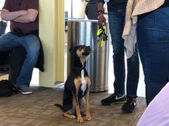 -华盛顿杜勒斯国际机场