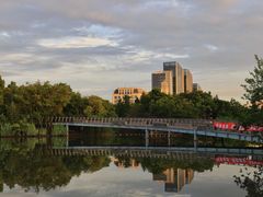 -上海吴淞炮台湾国家湿地公园