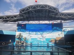 -石林冰雪海洋世界