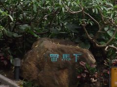 -晓港公园