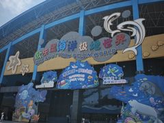 -泉城欧乐堡海洋极地世界
