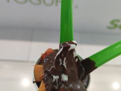 -Salud撒露欧洲冻酸奶(五道口购物中心店)