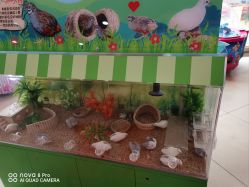 -童梦园主题乐园(天津泉汇购物广场店)