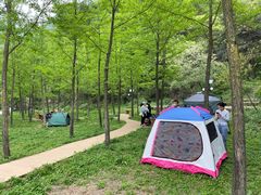 -秦岭终南山世界地质公园翠华山景区