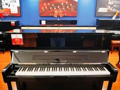 -秦川乐器(河西店)