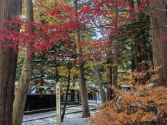-北海道神宫