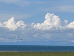 -青海湖国家重点风景名胜区