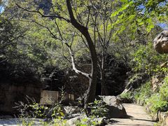 -京东石林峡风景区
