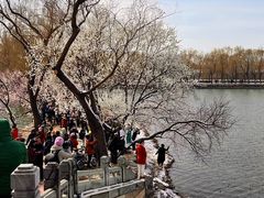 -颐和园-景明楼