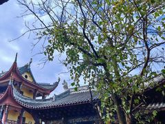 -涂山寺素食餐厅