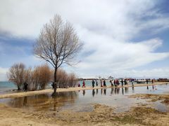 -青海湖国家重点风景名胜区