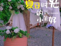 -安德鲁户外烧烤帐篷营地(马泉营店)