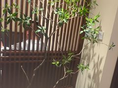 -高玛纳驴肉火烧(一世界店)