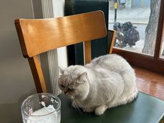 -雕刻时光·咖啡·酒吧·西餐(香山店)