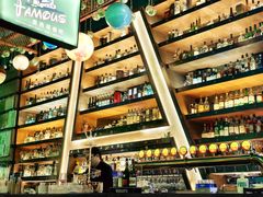 -Famous肥猫墨西哥音乐餐吧(五棵松华熙LIVE店)