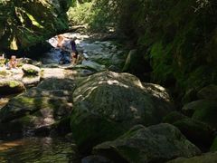 -少华山国家森林公园