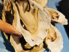 深海黄金蚝-千岛蚝高压锅生蚝·人参火锅(白云万达店)