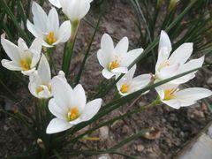 -贵阳市花溪国家城市湿地公园