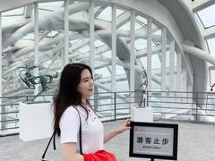 -凤凰中心