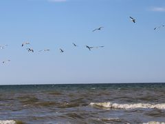 -烟台金沙滩海滨公园