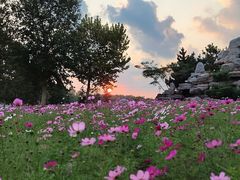 -羊亭河湿地公园