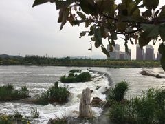 -永定河休闲森林公园