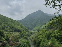 -芦茨金富饭庄·25年老字号·专做稻草鸡