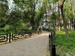 -大兴滨河森林公园