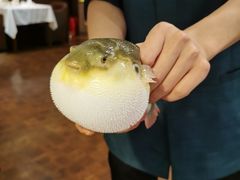 -肆月河豚·新淮扬(金融街店)