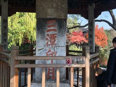 -西湖外事游船(花港观鱼码头)