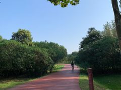 -滨湖塘西河公园