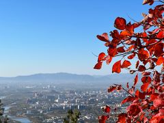 -北京十三陵国家森林公园蟒山景区