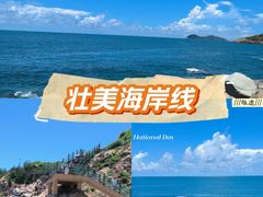 -广东惠东海龟国家级自然保护区