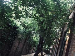 -boundaries籬苑(瑞光创意工厂-贰号院店)