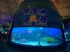 -烟台海昌鲸鲨海洋公园