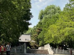 -晋祠公园